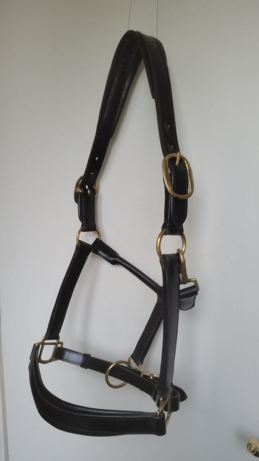 Padded leather headcollar with brass fittings